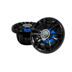 Black and blue car audio speakers.