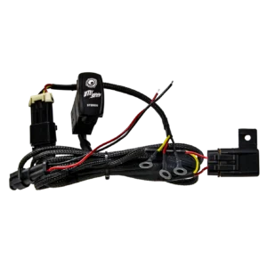 Electrical wiring harness with connectors and switch.