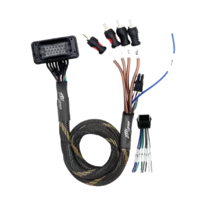 Audio wiring harness with multiple connectors.