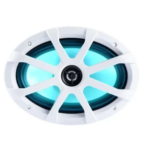 Oval speaker with blue and white design.